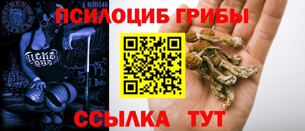 купить наркоту  Псилоцибиновые грибы ЛСД  Вход с VPN  Псилоцибиновые грибы Magic Shrooms  Орск 